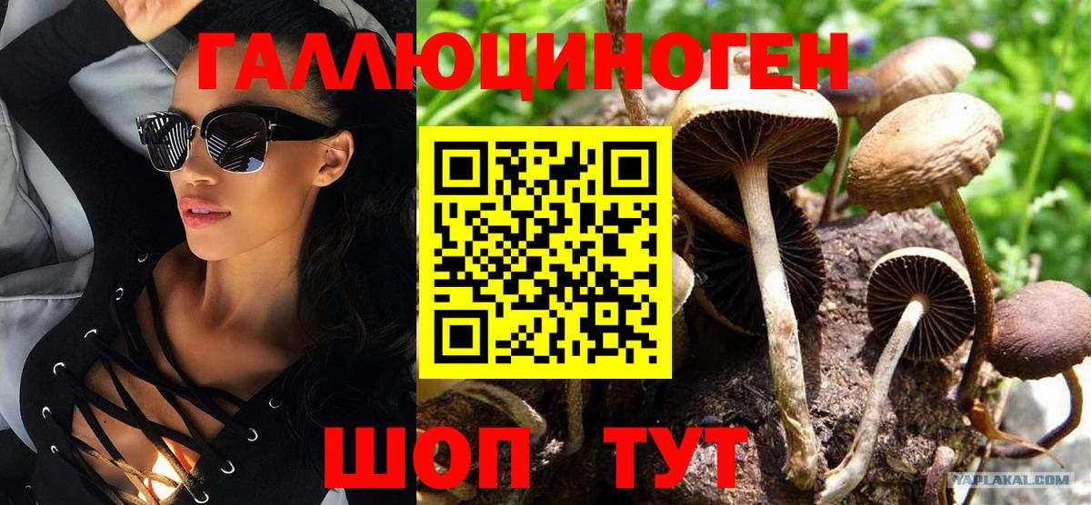 Псилоцибиновые грибы прущие грибы  Псилоцибиновые грибы MAGIC MUSHROOMS  Вход с VPN  Бутурлиновка 
